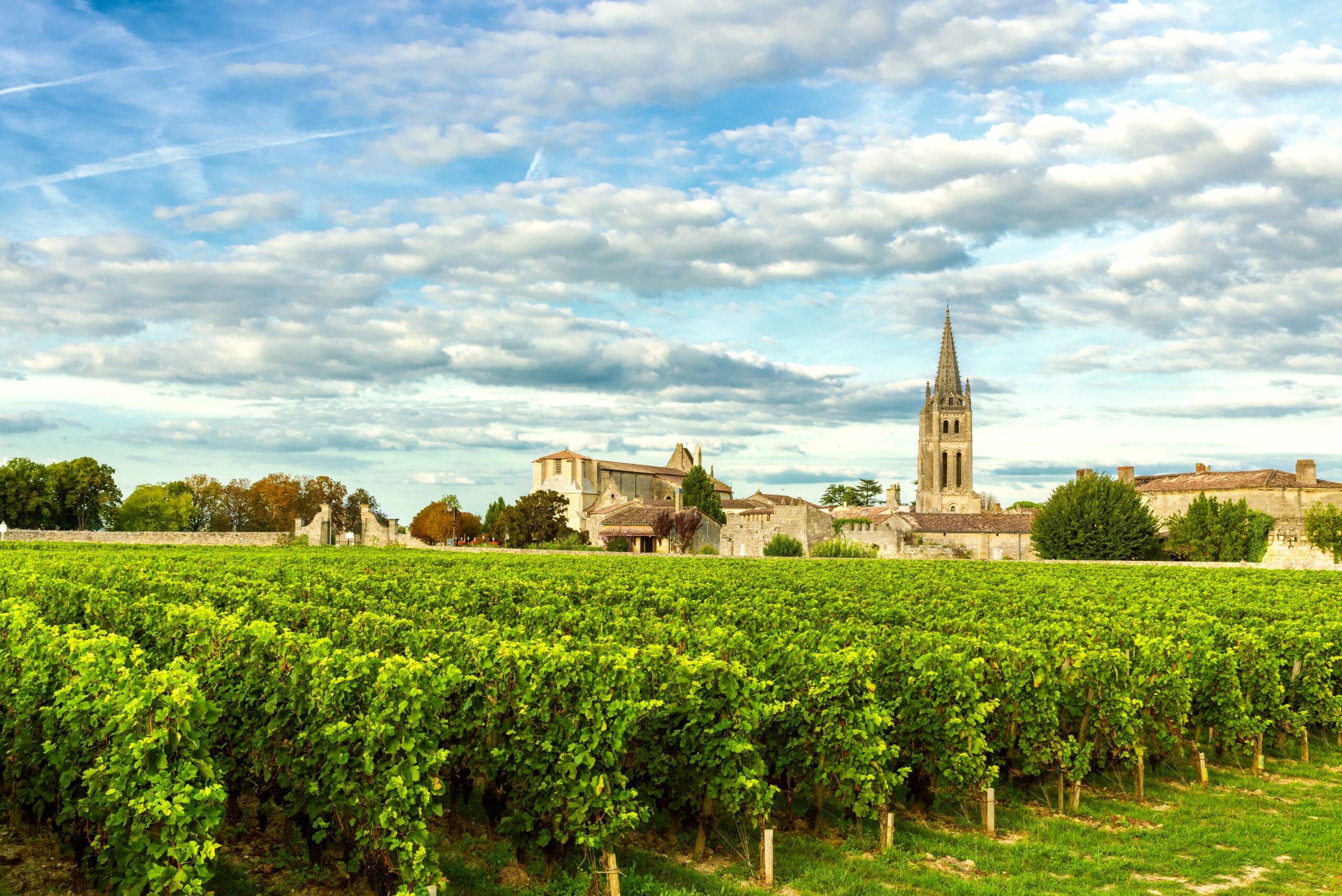 Bordeaux Weine: Region